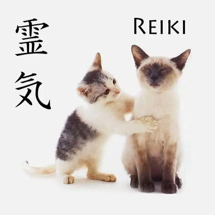 reiki pour les animaux